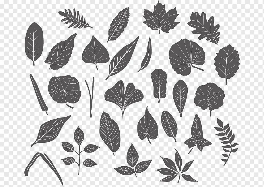 Зеленые листочки. Листья вектор. Тропические листья вектор. Листья векторная графика. Листья вектор.