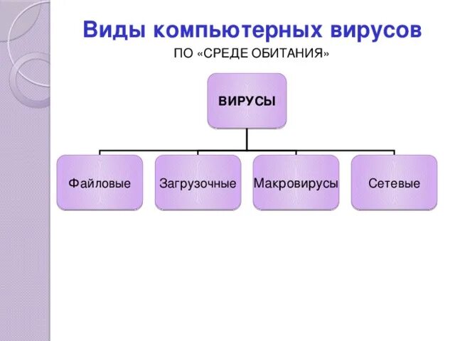 Какие есть вирусы примеры Внешний вид вирусов