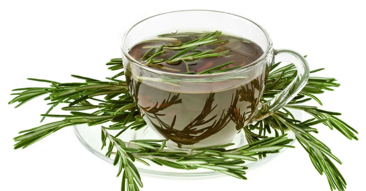 Чай с розмарином. Травяной чай "розмарин". Можно розмарин добавить в чай. Розмарин и зеленый чай. Черный чай приложить к ноге.