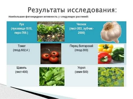 Какой овощ содержит