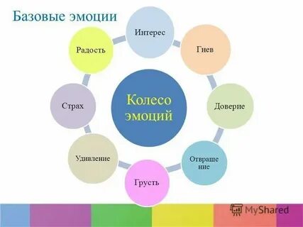 7 чувство это какое