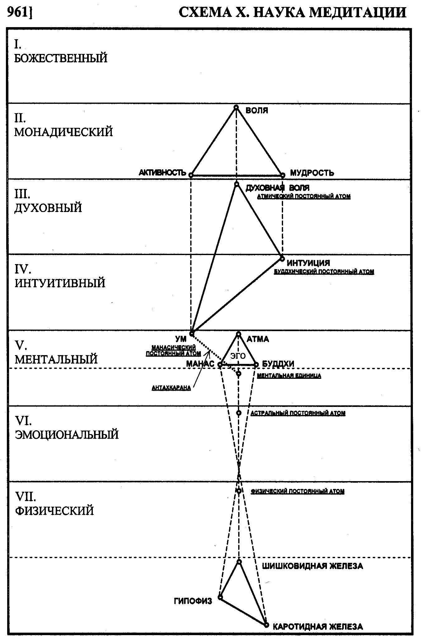Медитация схема. Схема уровней человека. 51 Ментальный фактор в буддизме. Уровни медитации