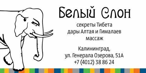 Если вы слон значит вы ничего не