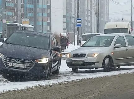 Сводки петербурга