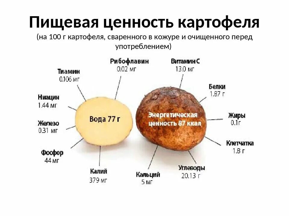 Что содержится в кожуре. Пищевая ценность картофеля на 100 грамм. Картофель пищевая ценность в 100. Энергетическая ценность 100 г картофеля. Картофель пищевая ценность в 100г.