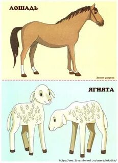 Тн животные
