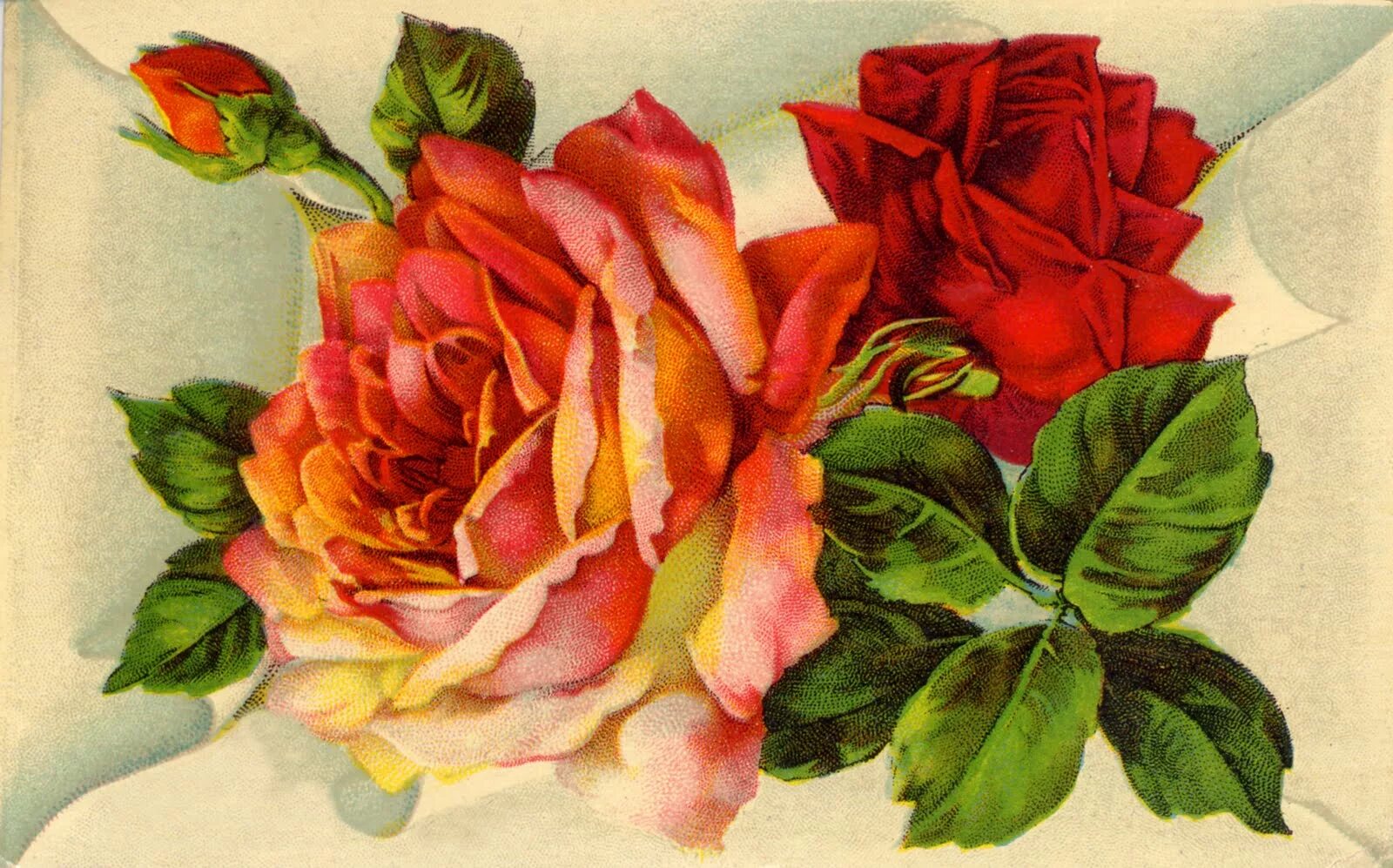 Цветные открытки. Винтажные розы. Красивые розы для декупажа. Красные розы для декупажа. Цветы для декупажа на белом фоне.