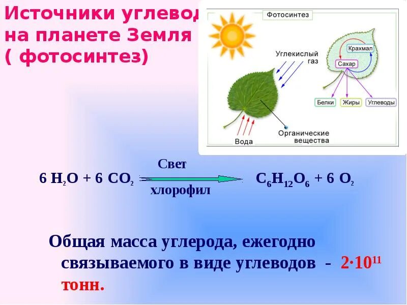 В результате фотосинтеза кислород. Фотосинтез это процесс образования. Процессы происходящие при фотосинтезе. Фотосинтез крахмал. Вещества участвующие в фотосинтезе.