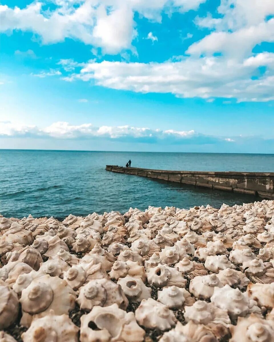 Куда переехать на море. Пляж Рапан Сочи. Ракушечный пляж Адлер. Ракушечная набережная в Адлере. Краснодар море.