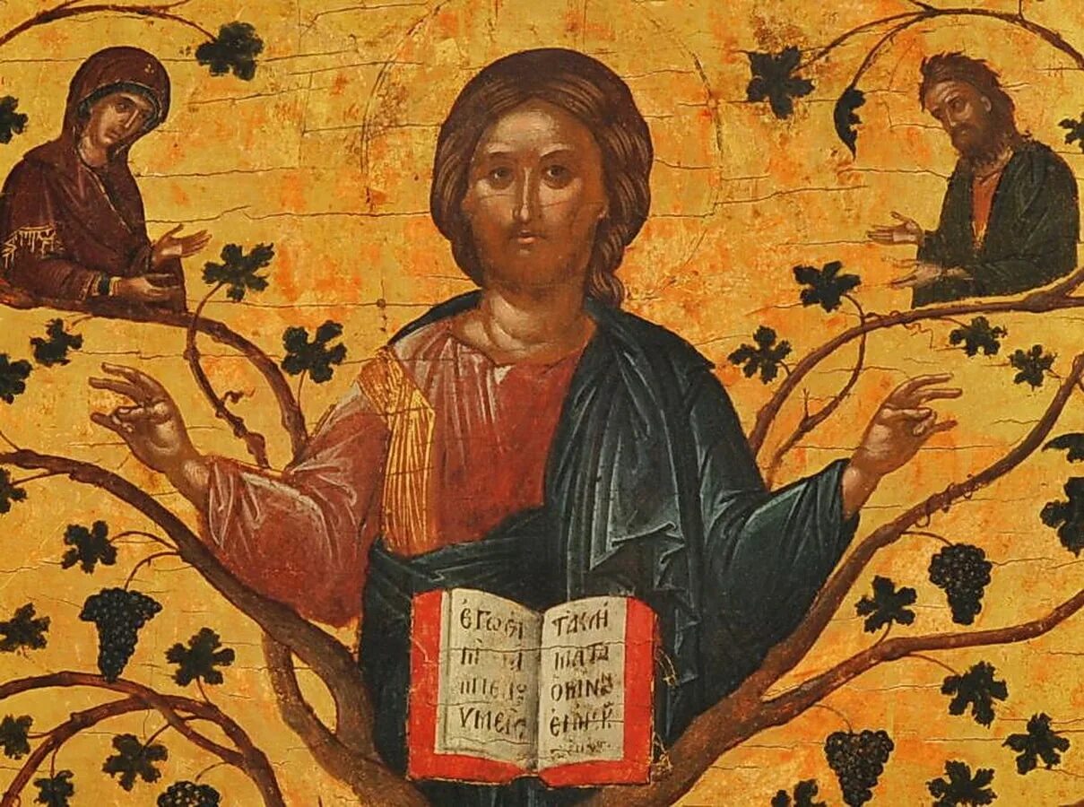 Иисус христос благословляющий. Иисус христос виноградная лоза. икона иисуса христа виноградная лоза. христос-лоза русская иконография. иисус христос лоза виноградная иконы иисуса.
