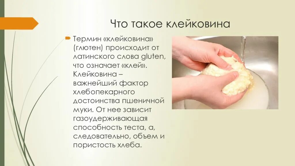 Классификация видов теста. Виды дрожжевого теста. Дрожжевое тесто презентация. Клейковина. Тестовый пример.