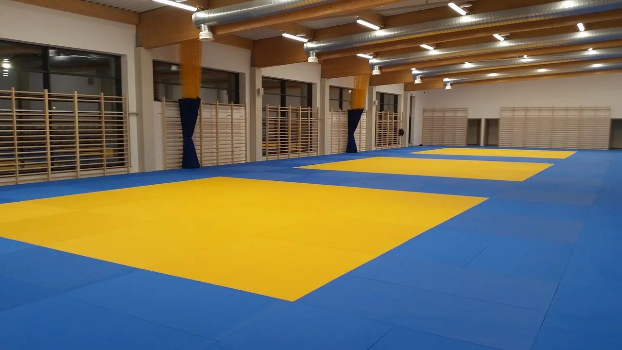 Татами для дзюдо 2х1. Татами мма. Татами ласточкин хвост. Будо маты с зацепом ласточкин хвост. Два татами.