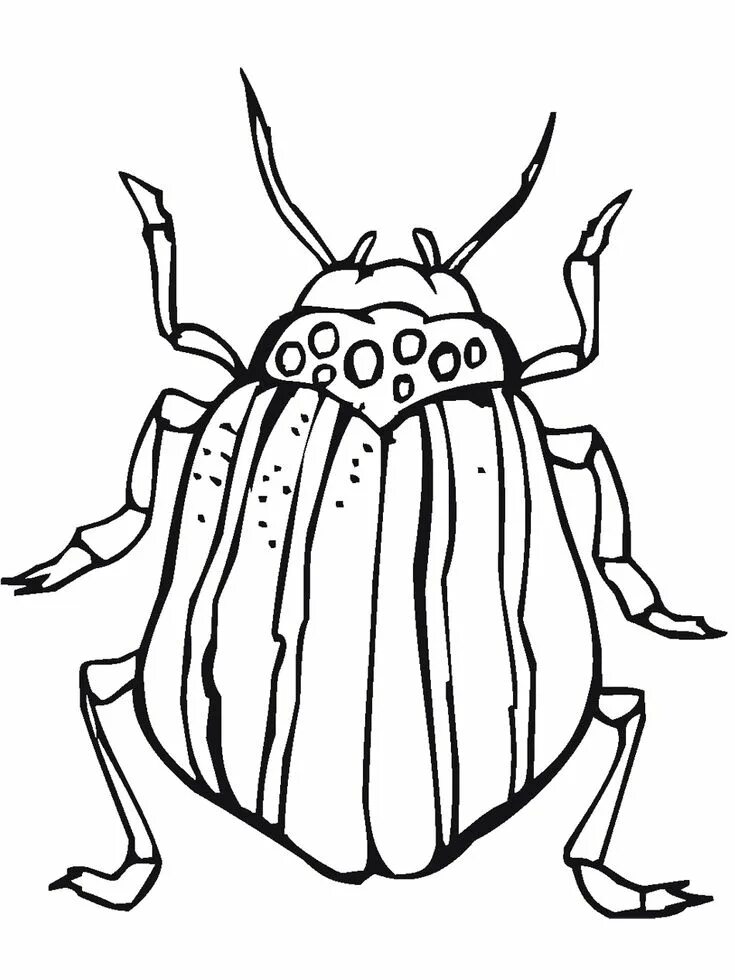 Жук раскраска для детей распечатать Japanese Beetle Coloring page Coloring pages, Beetle drawing, Rock painting patt