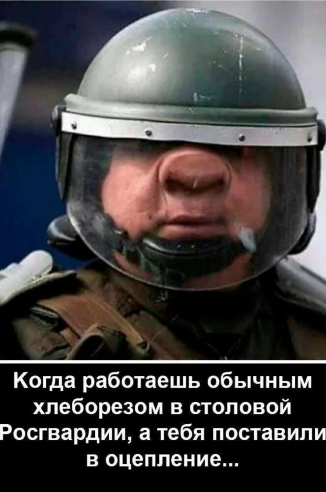 Рожа треснет