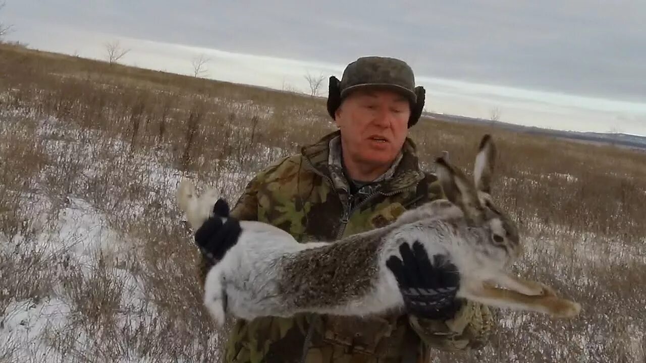охота на зайца в ленинградской области 2021. охота на зайца в саратовской. охота на зайца в саратовской. охота на зайца в саратовской. охота на зайца в саратовской.
