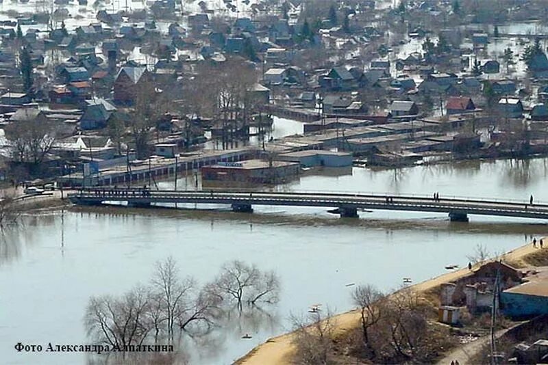 Уровень воды в реке тобол звериноголовское. Река Тобол Курган. Мост через реку Тобол Курган. Тобол в Звериноголовском. Паводк Курганской области.