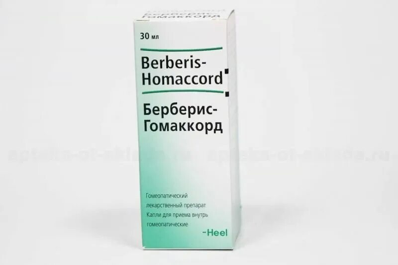 Что такое берберис. Сабаль гомаккорд. капли берберис гомаккорд. нукс вомика гомаккорд капли. хель гомаккорд.