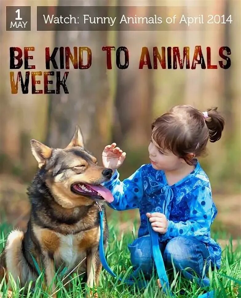 Дети и животные Дружба. Be kind to animals. Be kind to a Pet. Be kind to animals for Kids.