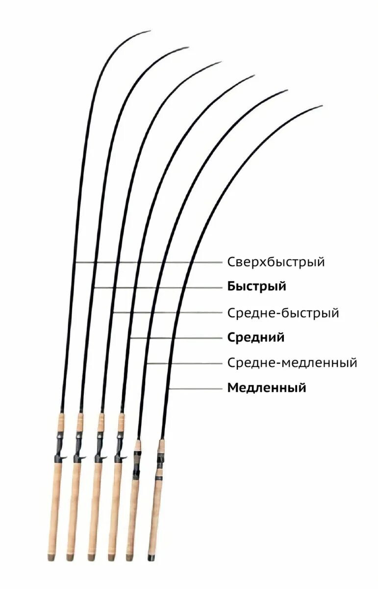 Жесткость спиннинга. Классификация спиннингов. Класс спиннинга. Градация спиннингов.