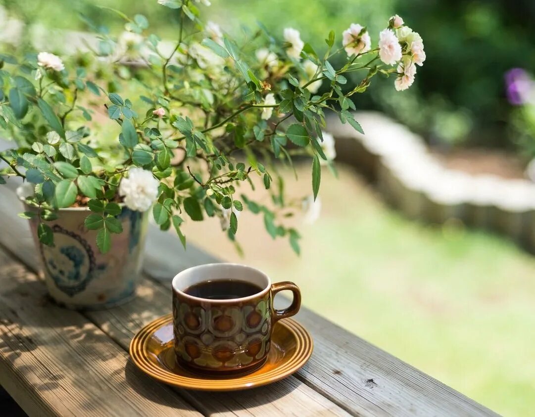 Весенний чай картинки. Утренние цветы. Чай на природе. Кофе и цветы. Кофе на природе.