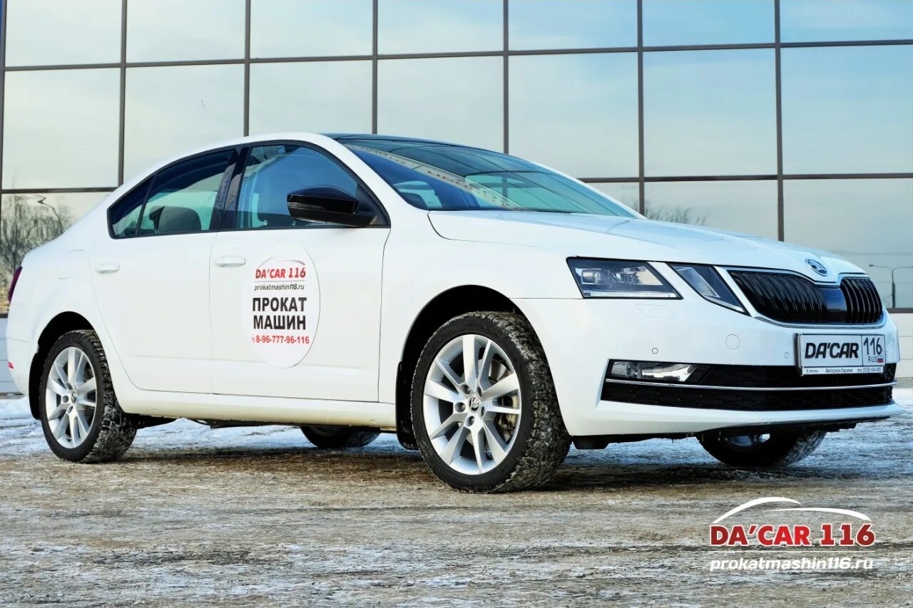 Авто на сутки казань. Авто на сутки казань. Авто на сутки казань. Авто на сутки казань. Белая авто шкода.