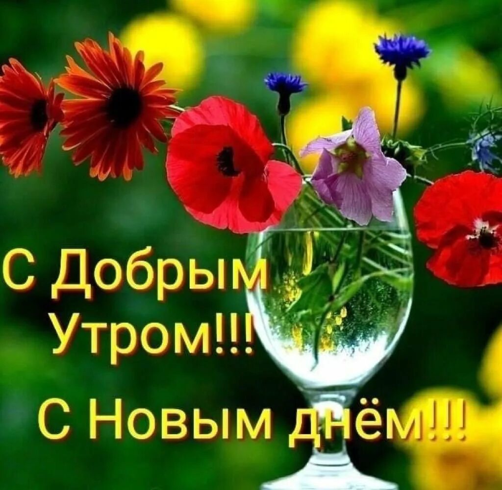 Доброе утро здоровья и удачи. Доброе солнечное утро хорошего дня. Солнечного утра и хорошего настроения. Доброе утро солнечного дня. Радостных событий и доброго утра.