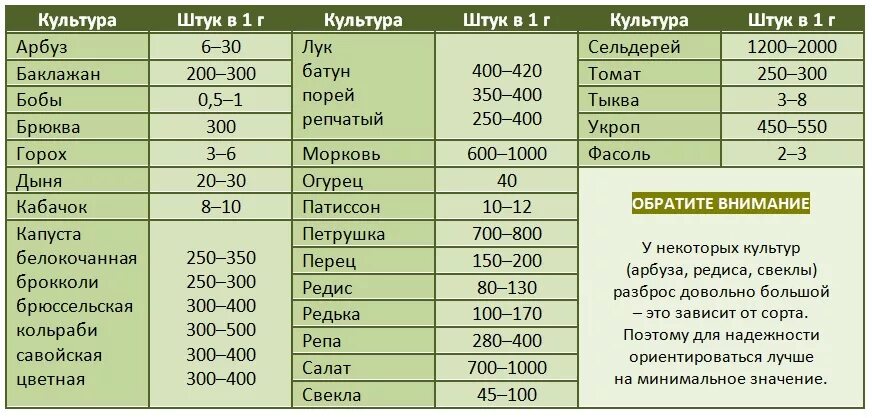 Сколько чисел в грамме. Сколько шт семян моркови в 1 грамме. сколько штук семян моркови в 1 грамме. сколько семян в 1 грамме свеклы штук.
