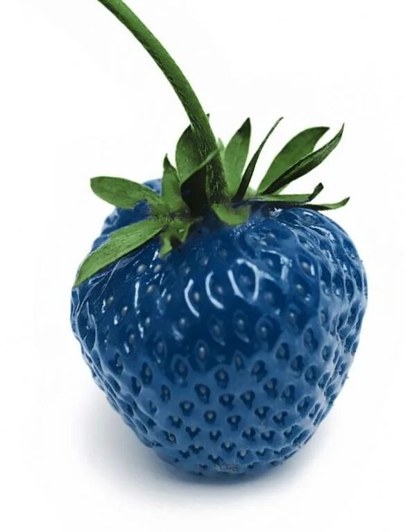 Синяя клубника. Синяя земляника. Сиреневая клубника. Blue strawberry. Синие фрукты и ягоды.