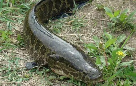 Ол түсірілім кезінде күтпеген жерден келді.