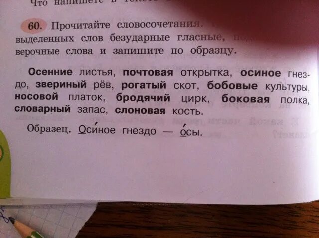 Проверочное слово к слову жил. Какое проверочное слово к слову. Помогать проверочное слово проверочное. Бродячий проверочное слово. Проверочное слово к слову словом.