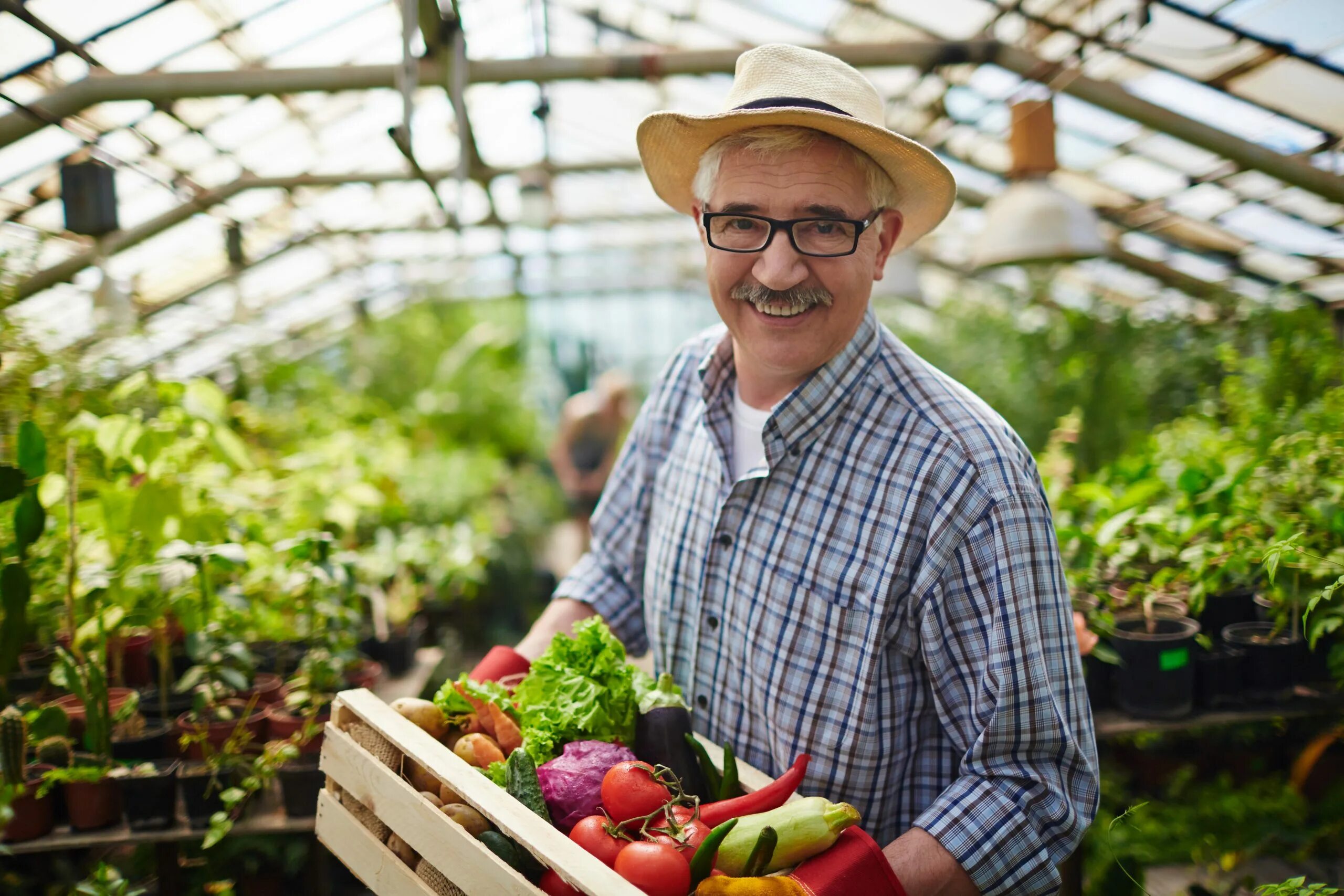 Farmer vegetables