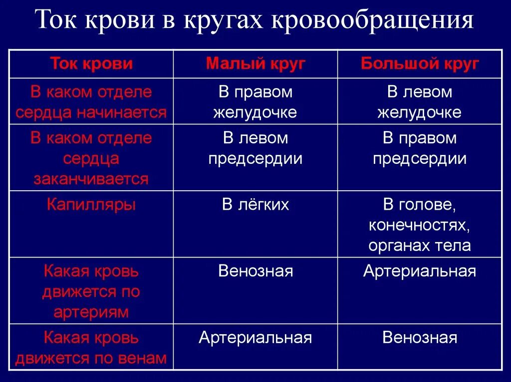 Таблица по биологии 8 класс ток крови в кругах кровообращения. Ток крови в кругах кровообращения таблица 8 класс. Таблица по биологии 8 класс круги кровообращения. Ток крови в кругах кровообращения таблица.