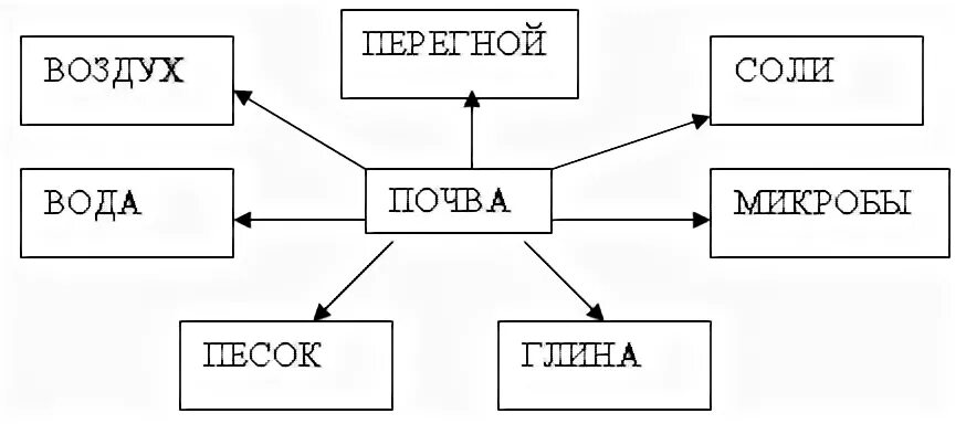 Состав почвы схема 6 класс. Составь схему состав почвы. Составьте схему состав почвы. Из чего состоит почва схема. Состав почвы 6 класс география