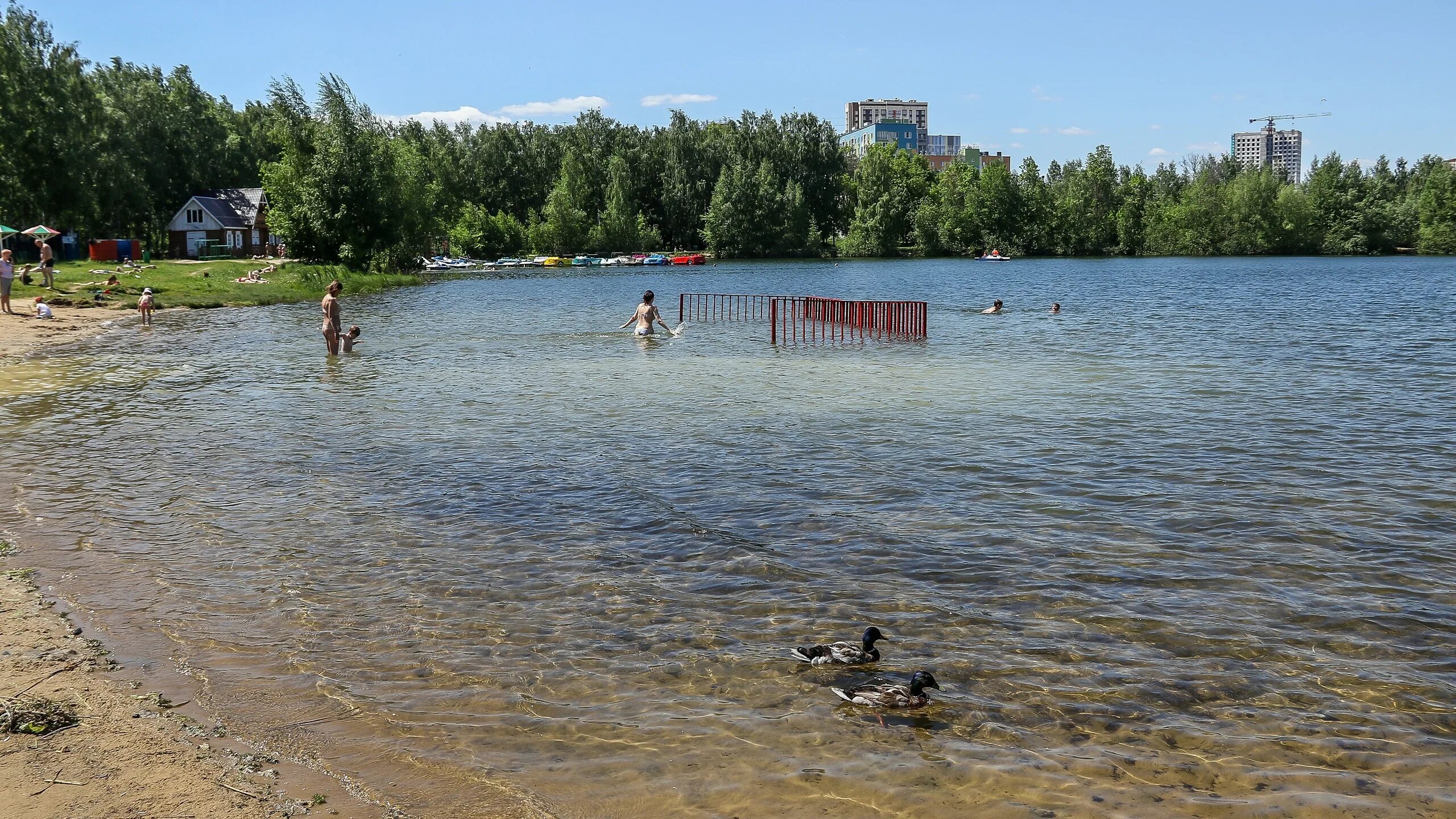 Новгород купаться. Мещерское озеро Нижний Новгород. Мещерское озеро лето Нижний Новгород. Мещерское озеро Нижний Новгород пляж. Силикатное озеро Нижний Новгород.