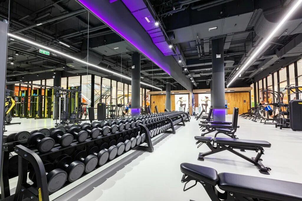 паллада фитнес отрадное. Ddx fitness солярис. зал ирбис отрадное. спортзал на отрадной. тренажерный зал отрадное.