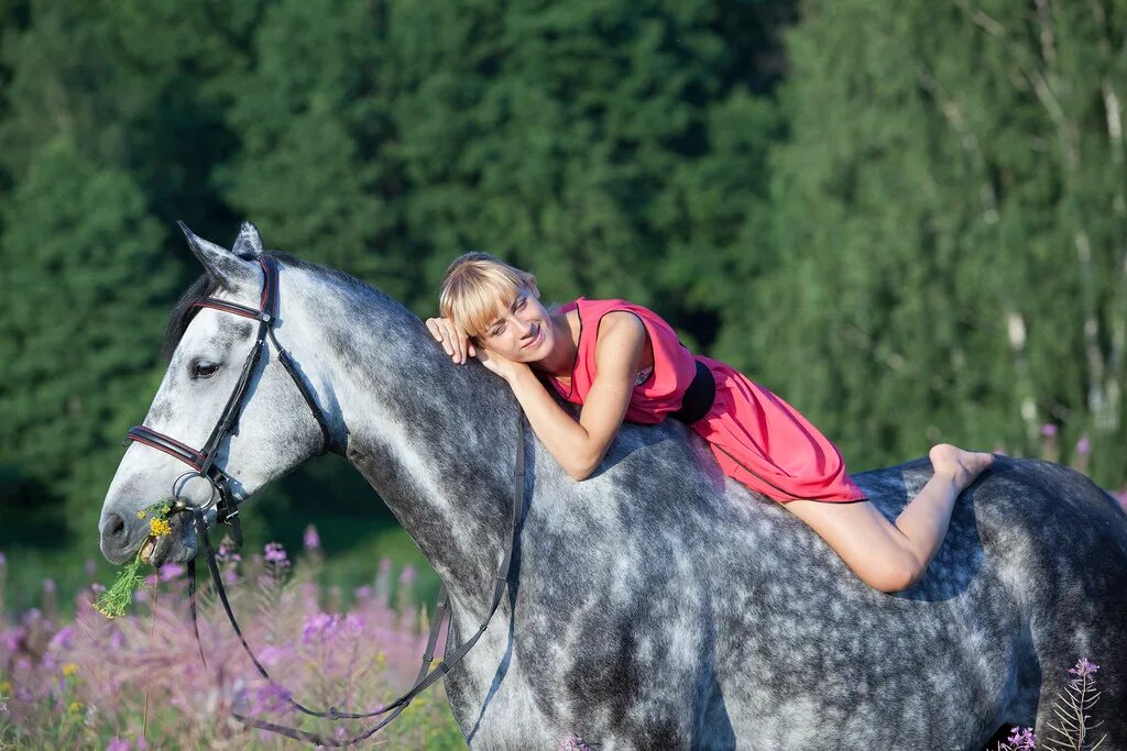 Лошади КСК Левадия. Девушка верхом на лошади. Девушка лежит на коне.