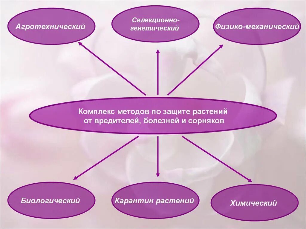 Методы охраны растений. Агротехнические методы защиты растений. Агротехнический метод защиты растений. Интегрированная защита растений. Физико-механические методы защиты растений.