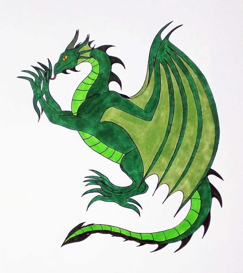 Рисунок зеленого деревянного дракона. Дракон зеленый мультяшный. Зеленый дракон для срисовки. Зеленые драконы малыши. Зелёный дракон на гербе.