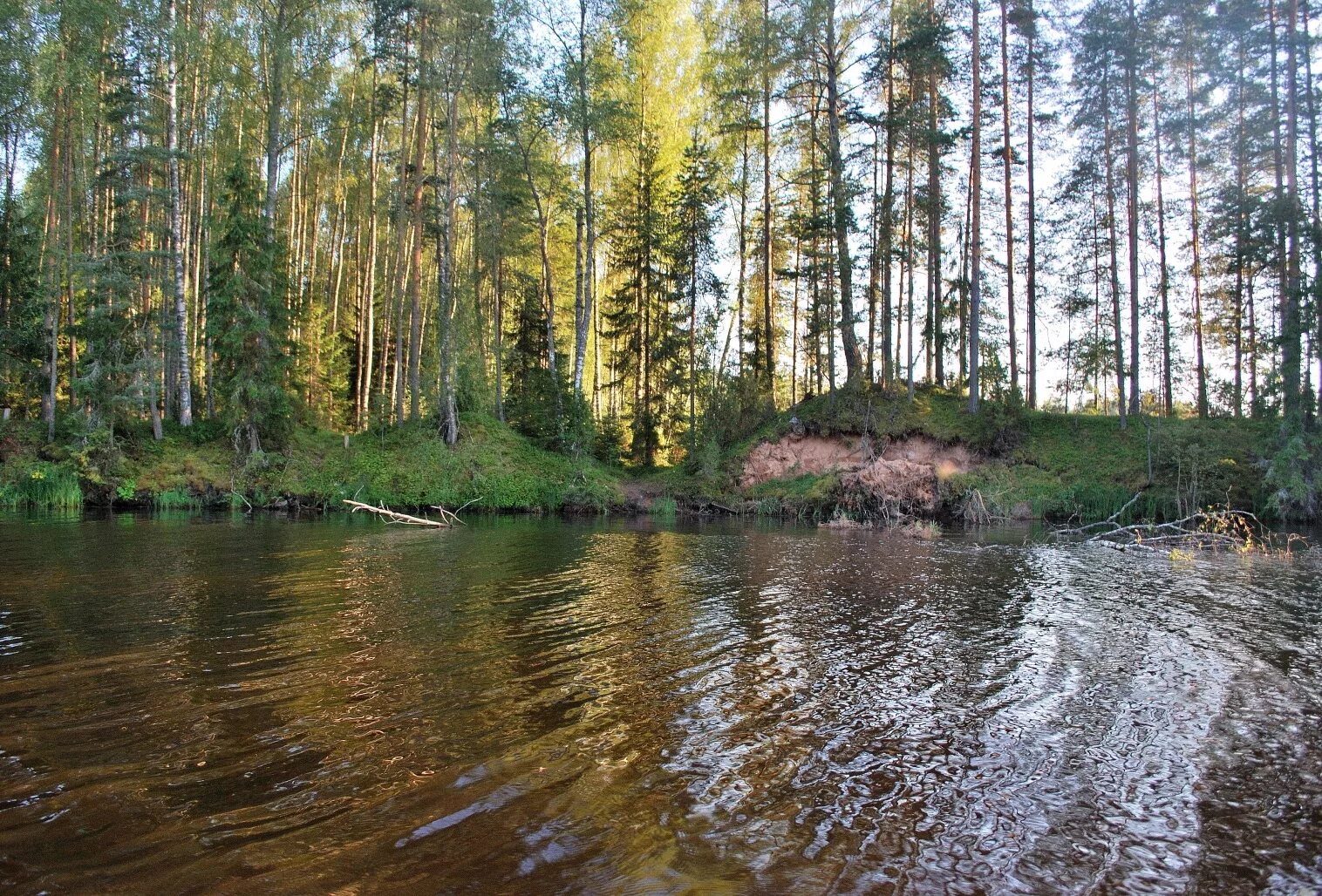 Озеро Волга в Тверской области. Озеро Бор Волго. Селижарово озеро Волго. Озеро волго тверская