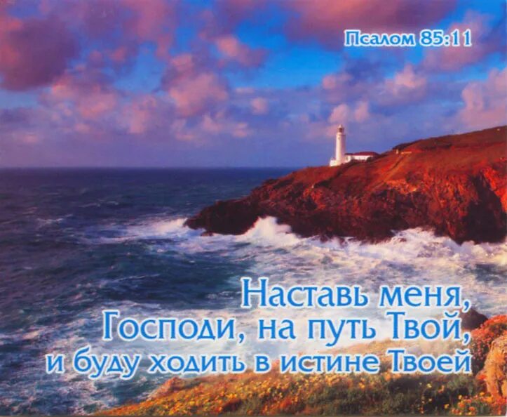 Настави меня Господи на путь твой. Наставь меня Господи на путь твой и буду ходить. Образумь меня Господи. Наставь Господи на путь его истинный картинки. Псалом 85 на русском