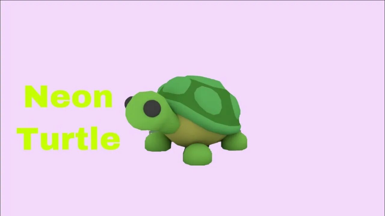 T1 turtle