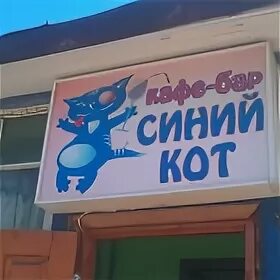 бар синий кот. кафе с котиками иваново. синий кот нижний новгород кафе. бар синий кот нижний новгород. бар синий кот нижний новгород.