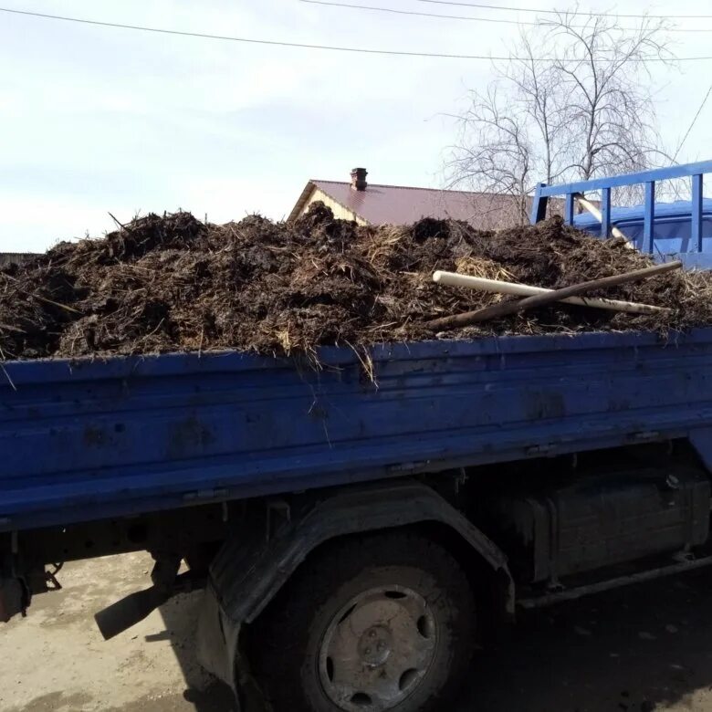 Грузовик с навозом. Грузовик с перегноем. Машина с навозом. Навоз перегной. Купить навоз цены