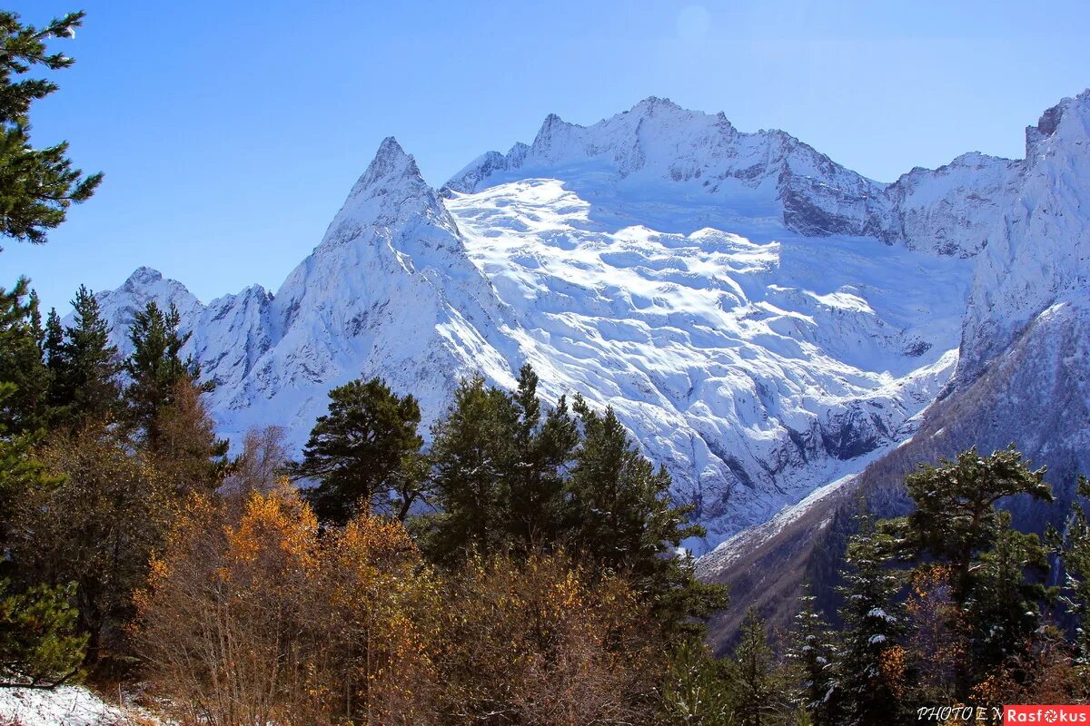 Домбай фото. Домбай гора Домбай Ульген осенью. Домбай Ульген русская Поляна. Поляна Косыгина Домбай. Гора Домбай Ульген зимой.