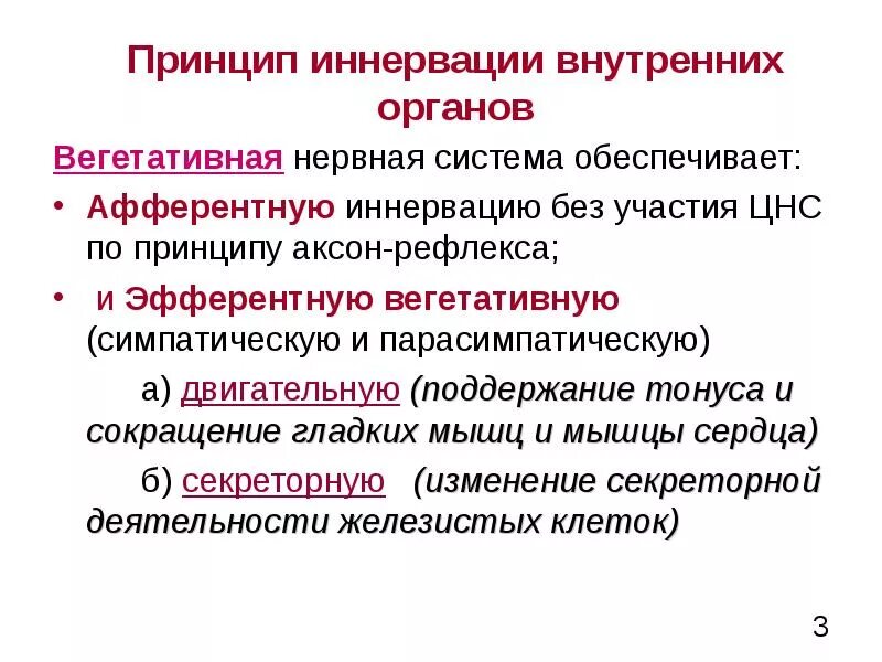 Афферентный отдел нервной системы. Центростремительные волокна. Афферентные и эфферентные нервы. Афферентная система. Афферентные нервы это.