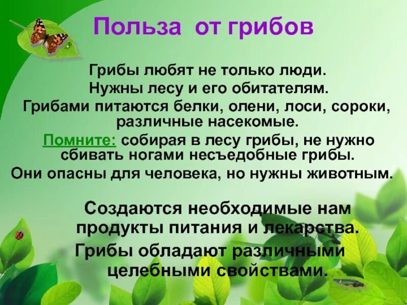 Чем полезны и вредны грибы. Чем полезны и вредны грибы. Чем полезны и вредны грибы. Чем полезны и вредны грибы. Полезные и вредные грибы для человека.