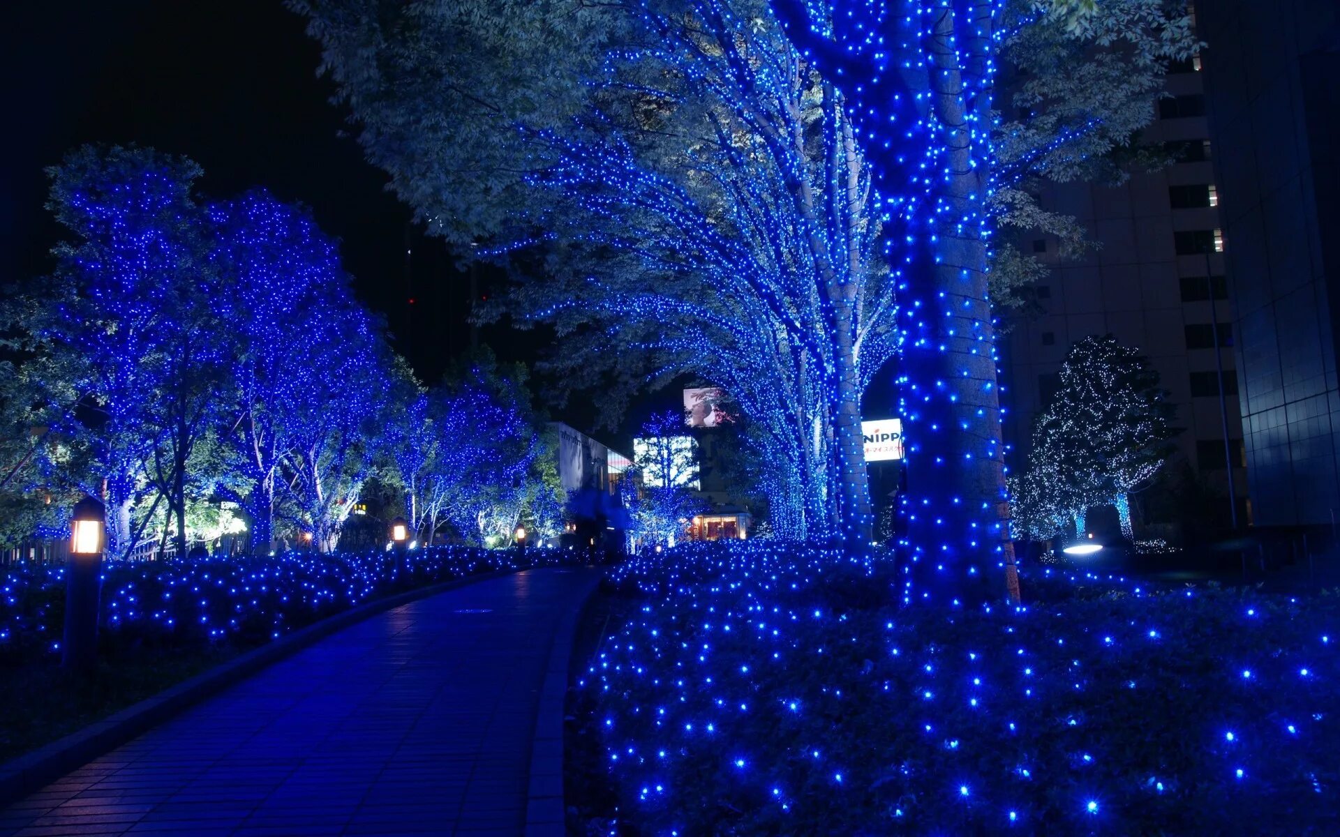 New years night. Рождественская иллюминация в Лос Анджелесе. Иллюминации в Токио. Подсветка деревьев. Новогодний город.