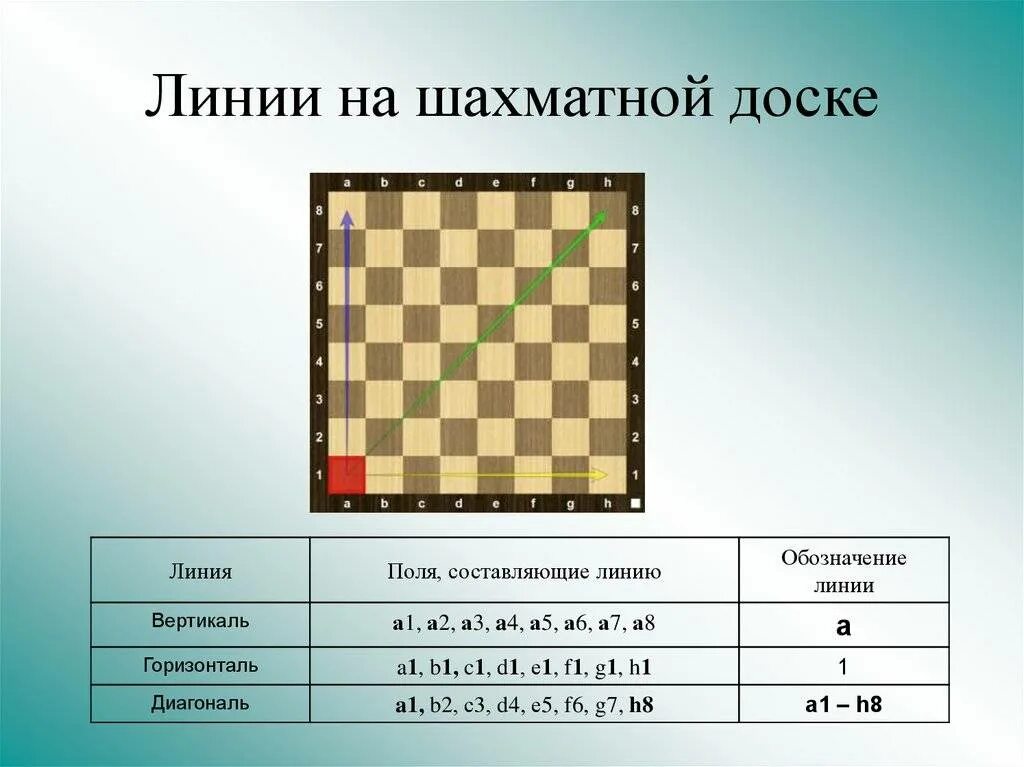 Положение в шахматах 8 букв. Расположение шахматной доски. Горизонталь в шахматах. Линии на шахматной доске. Диагональ горизонталь Вертикаль на шахматной доске.