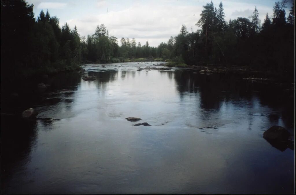 волома теплый поселок