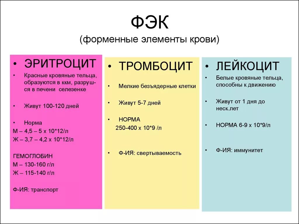 Лейкоциты 1 у мужчин. Норма форменных элементов в крови. Показатели форменных элементов крови в норме. Форменный элемент показатель нормы. Норма содержания форменных элементов крови.